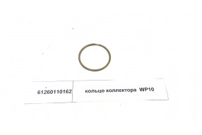 Кольцо коллектора WP10
